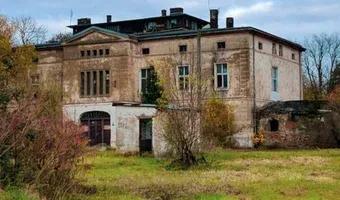 Zdjęcie opuszczonego miejsca: Opuszczony pałac Małkowice