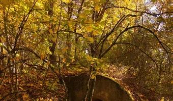 Zdjęcie opuszczonego miejsca: Twierdza Osowiec - Fort II Zarzeczny, Osowiec