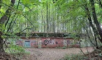 Zdjęcie opuszczonego miejsca: Opuszczony fort IW1 twierdzy Malbork