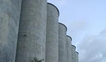 Zdjęcie opuszczonego miejsca: Warszawskie zakłady zbożowe