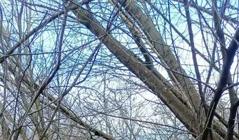 Zdjęcie opuszczonego miejsca: Gazownia