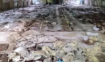 Zdjęcie opuszczonego miejsca: Opuszczona hala sportowa "leśna" Olsztyn