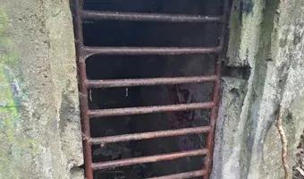 Zdjęcie opuszczonego miejsca: Opuszczony schron w lesie obok przystanku