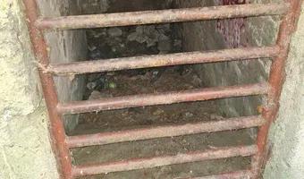 Zdjęcie opuszczonego miejsca: Opuszczony schron w lesie obok przystanku