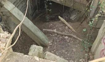 Zdjęcie opuszczonego miejsca: Opuszczony schron w lesie obok przystanku