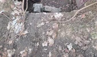 Zdjęcie opuszczonego miejsca: Opuszczony schron w lesie obok przystanku