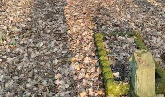 Zdjęcie opuszczonego miejsca: zabytkowy cmentarz poniemiecki