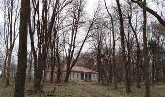 Zdjęcie opuszczonego miejsca: Dworek - Rudna Wielka