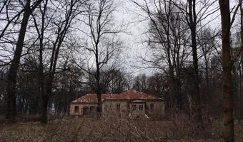 Zdjęcie opuszczonego miejsca: Dworek - Rudna Wielka