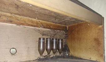 Zdjęcie opuszczonego miejsca: Średni domek