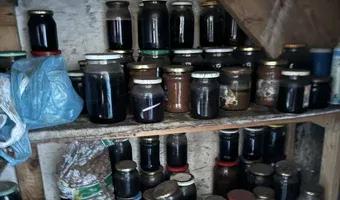 Zdjęcie opuszczonego miejsca: Średni domek