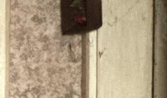 Zdjęcie opuszczonego miejsca: Średni domek