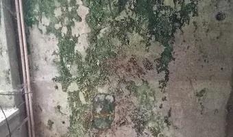 Zdjęcie opuszczonego miejsca: Ośrodek Wczasowo Profilaktyczny Orlik