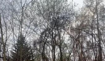 Zdjęcie opuszczonego miejsca: Opuszczony dom na Zawodziu