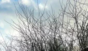 Zdjęcie opuszczonego miejsca: Opuszczony magazyn „gipsownia”