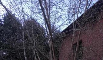 Zdjęcie opuszczonego miejsca: Opuszczony stary młyn