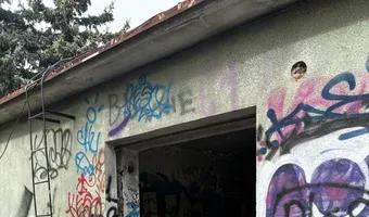 Zdjęcie opuszczonego miejsca: Opuszczony dom ze szklarniami