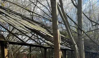 Zdjęcie opuszczonego miejsca: Opuszczony dom ze szklarniami