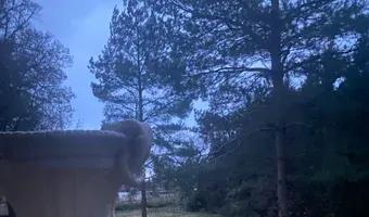 Zdjęcie opuszczonego miejsca: Pałac w Urzejowicach