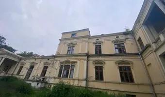 Zdjęcie opuszczonego miejsca: Pałac w Urzejowicach