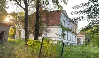 Zdjęcie opuszczonego miejsca: Pałac w Urzejowicach