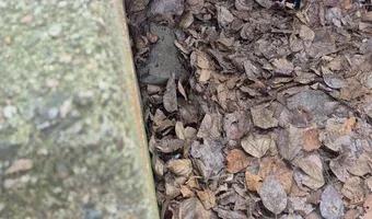 Zdjęcie opuszczonego miejsca: Stary Bunkier Obok Osiedlowej Kotłowni