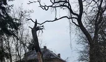 Zdjęcie opuszczonego miejsca: Zabytkowa Willa Artura Stefańskiego