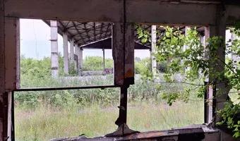 Zdjęcie opuszczonego miejsca: PIEKOSZOWSKI PGR