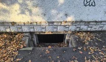 Zdjęcie opuszczonego miejsca: Opuszczona restauracja the chicken.