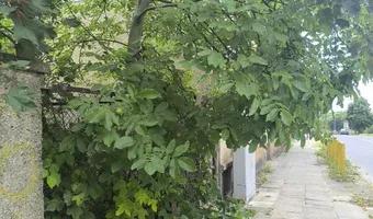 Zdjęcie opuszczonego miejsca: Opuszczony klub nocny.