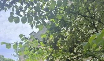 Zdjęcie opuszczonego miejsca: Opuszczony klub nocny.