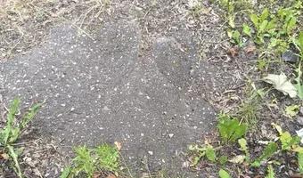 Zdjęcie opuszczonego miejsca: Opuszczony klub nocny.