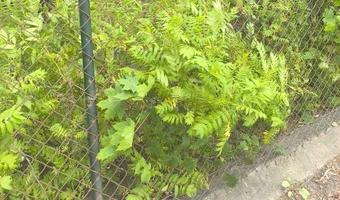 Zdjęcie opuszczonego miejsca: Opuszczony klub nocny.