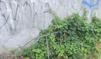 Zdjęcie opuszczonego miejsca: Opuszczony dobrze zachowany blok.