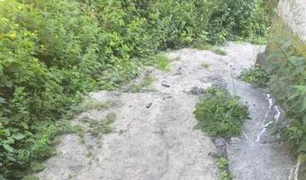 Zdjęcie opuszczonego miejsca: Częściowo opuszczona kamienica.