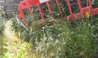 Zdjęcie opuszczonego miejsca: Częściowo opuszczona kamienica.