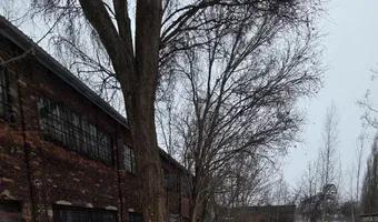 Zdjęcie opuszczonego miejsca: Magazyn Chemii, Łódź