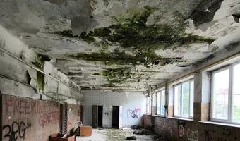 Zdjęcie opuszczonego miejsca: Opuszczona piekarnia z magazynem mąki