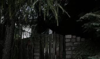 Zdjęcie opuszczonego miejsca: Drewniany dom