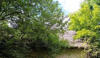 Zdjęcie opuszczonego miejsca: Oouszczone schronisko