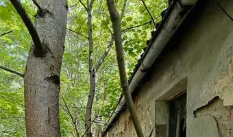 Zdjęcie opuszczonego miejsca: Oouszczone schronisko