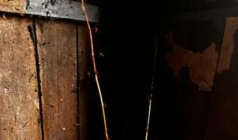 Zdjęcie opuszczonego miejsca: Dwa domy