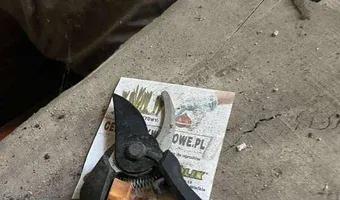 Zdjęcie opuszczonego miejsca: Zabytkowa Willa R. Steinerta