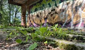 Zdjęcie opuszczonego miejsca: Niedokończona Willa obok Lotniska