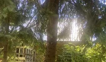 Zdjęcie opuszczonego miejsca: Opuszczone domki wypoczynkowe