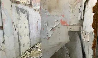 Zdjęcie opuszczonego miejsca: Opuszczone działki ROD