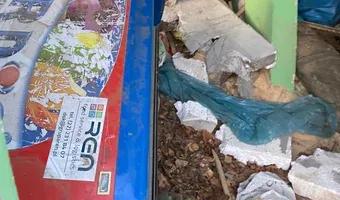 Zdjęcie opuszczonego miejsca: Opuszczone działki ROD