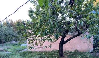 Zdjęcie opuszczonego miejsca: Opuszczone działki ROD