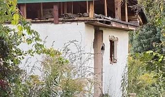 Zdjęcie opuszczonego miejsca: Opuszczone działki ROD