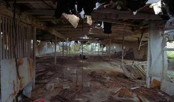 Zdjęcie opuszczonego miejsca: Ferma kurczaków